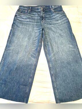 NWOT American Eagle Plus Size 20 Wide-Leg Medium Blue Jeans